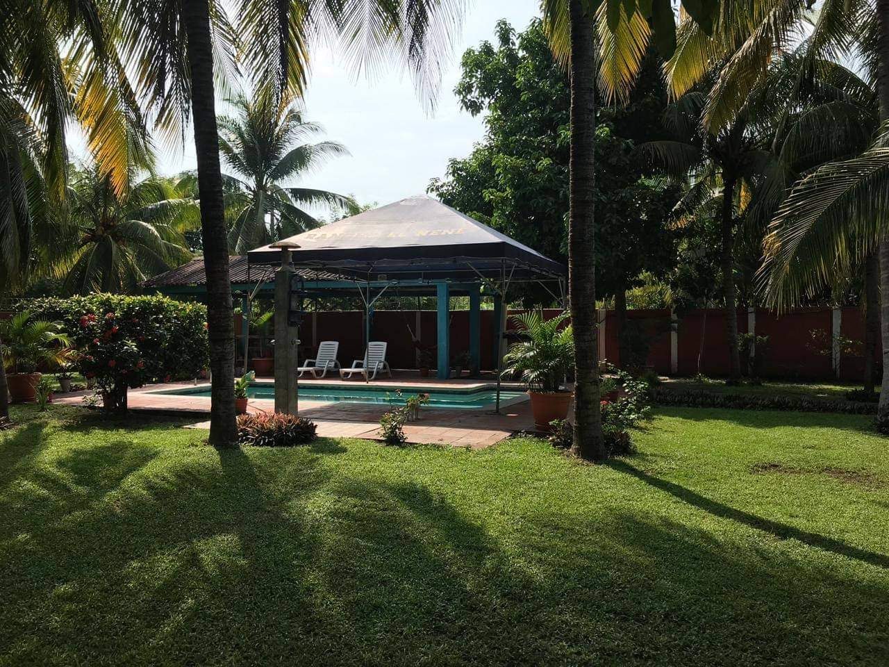 Jardín con palmeras y piscina bajo el toldo del Rancho El Nene