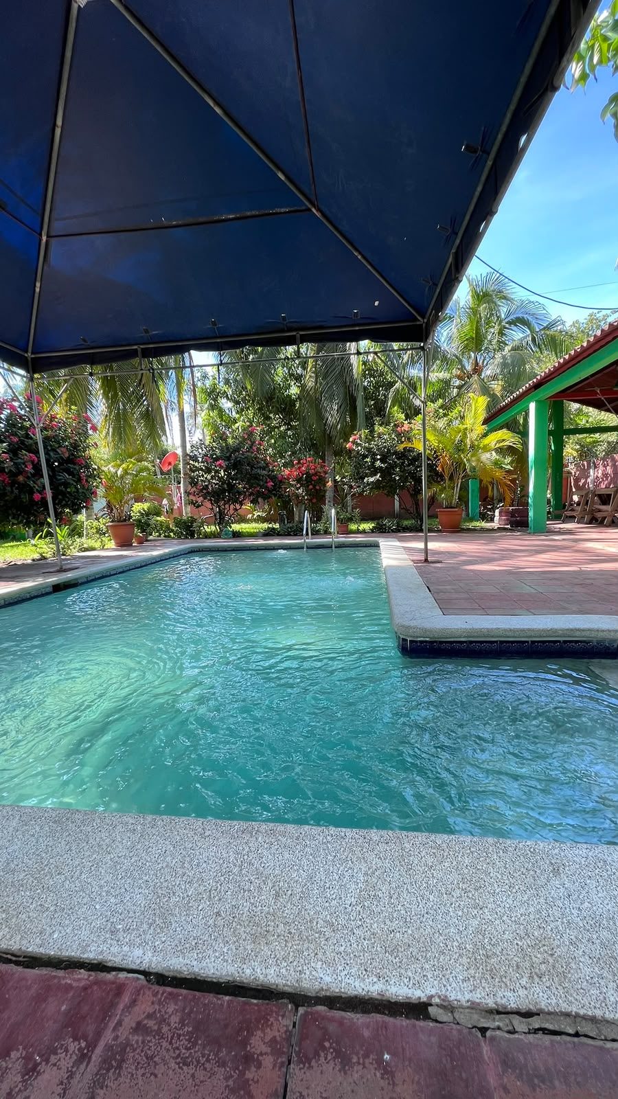 Piscina de agua turquesa bajo un toldo azul, rodeada de palmeras y flores
